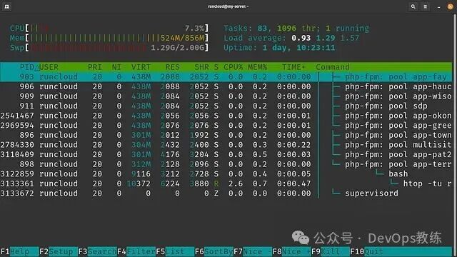 Linux 系统监控工具 htop 界面截图