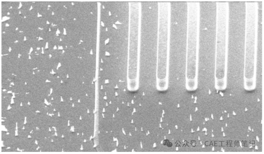 通过热氧化消耗“草形”柱状结构的SEM图