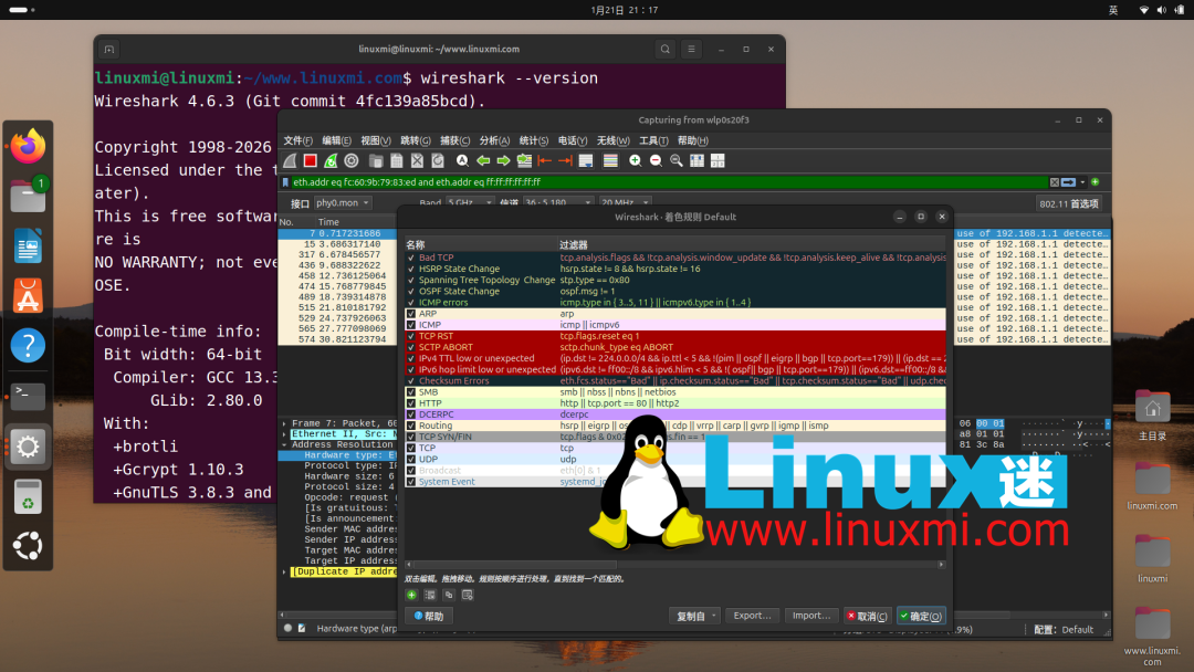 Linux系统中运行的Wireshark 4.6.3界面与终端版本信息