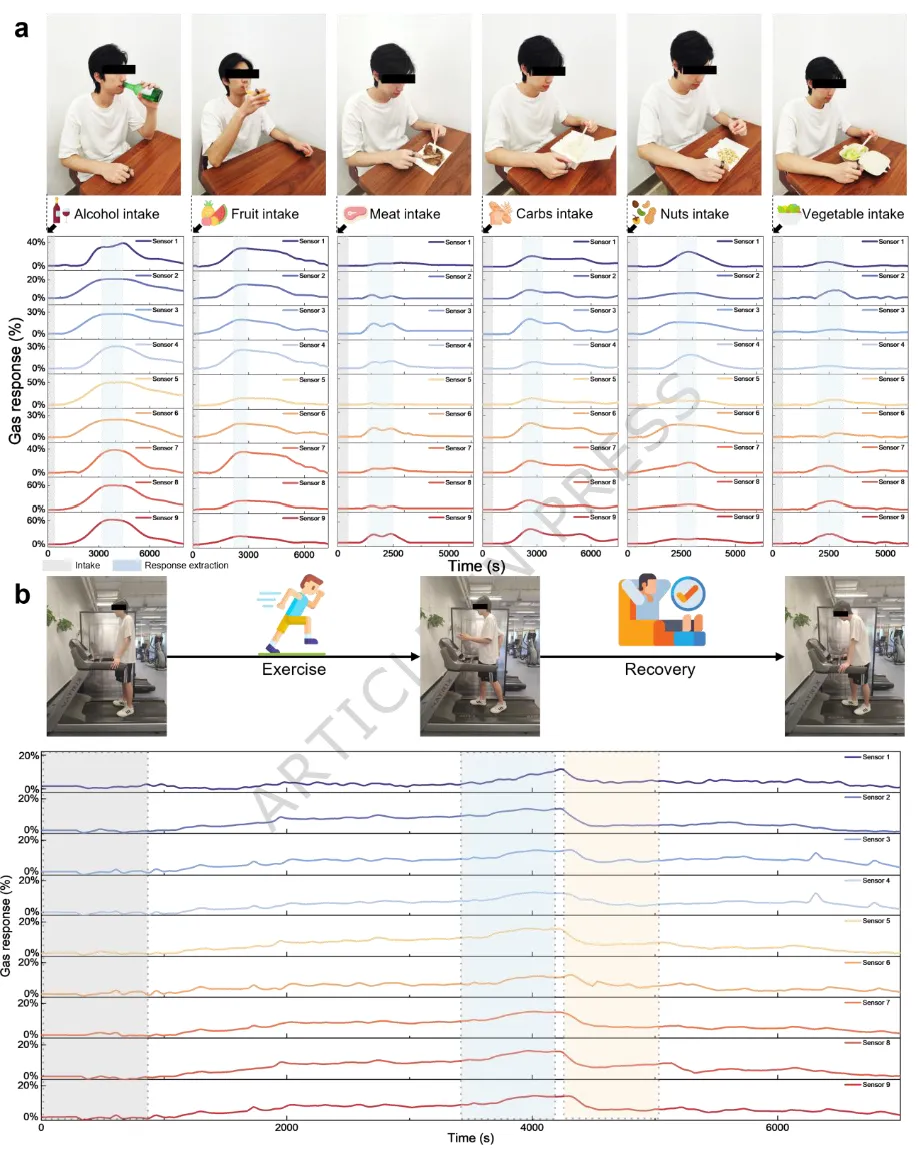 饮食摄入与运动期间传感器响应曲线图