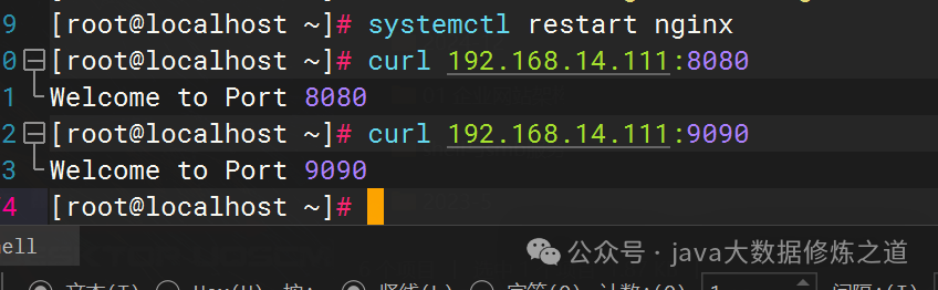 终端执行 curl 访问不同端口的测试截图,显示成功返回对应的端口欢迎语