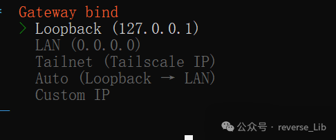 OpenClaw网关绑定地址选择截图