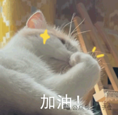 加油猫表情包
