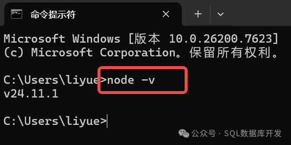 Windows命令行中执行node -v查询Node.js版本