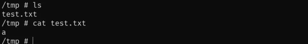 检查/tmp目录下生成的test.txt文件