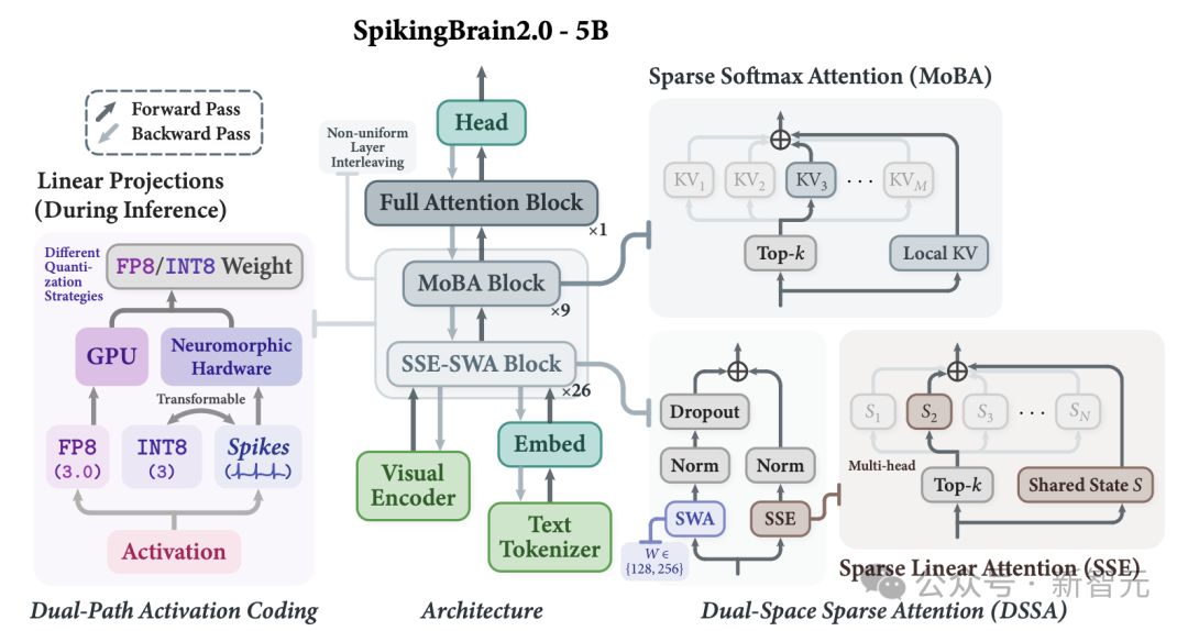 SpikingBrain2.0-5B模型架构示意图：展示DSSA、MoBA、SSE-SWA等核心模块