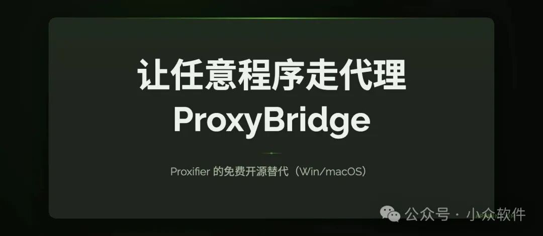 ProxyBridge软件介绍与功能图