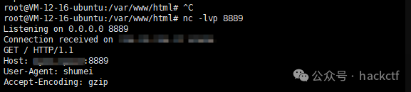 VPS nc监听收到外部请求