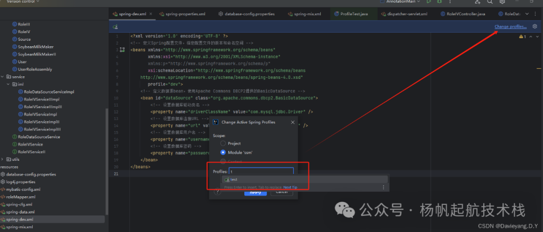 IDE中的Spring Profiles配置弹窗，可选择激活 dev 或 test 环境