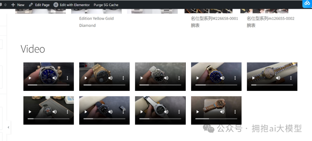 视频在Elementor中的嵌入效果