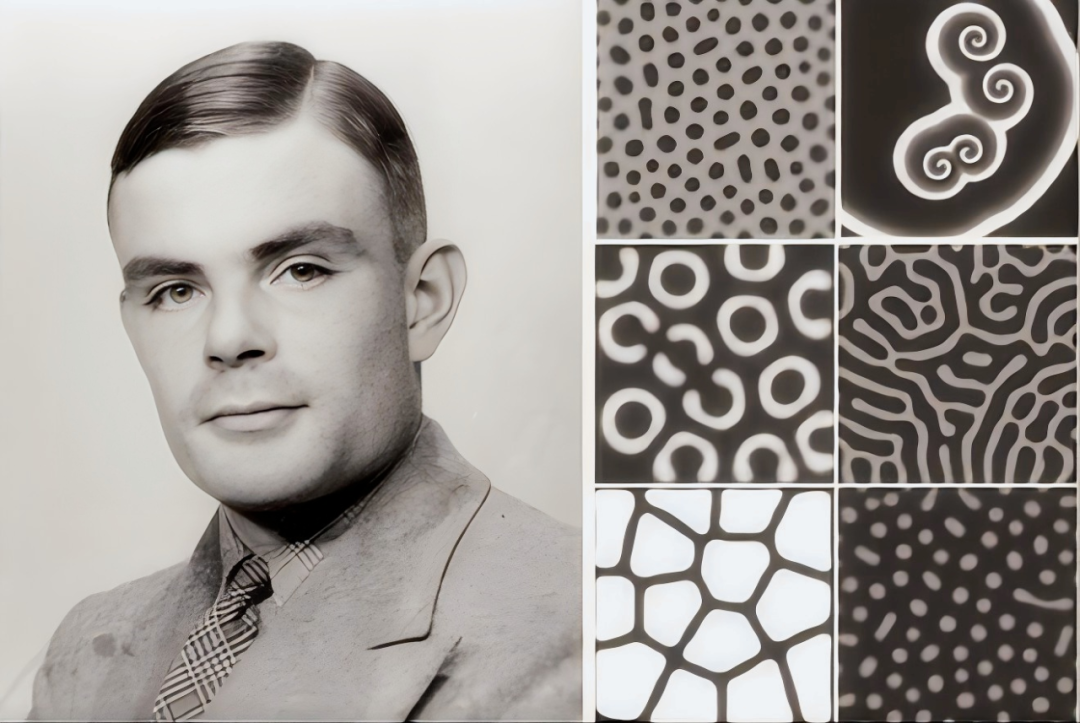 图灵肖像与图灵模式模拟图