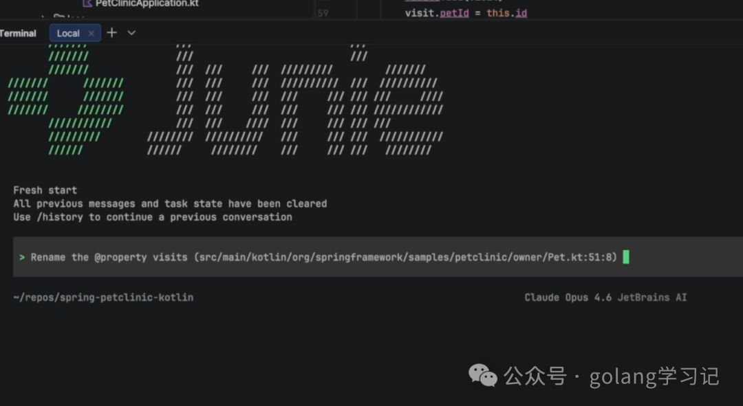 IDE中的语义导航与代码属性重命名提示