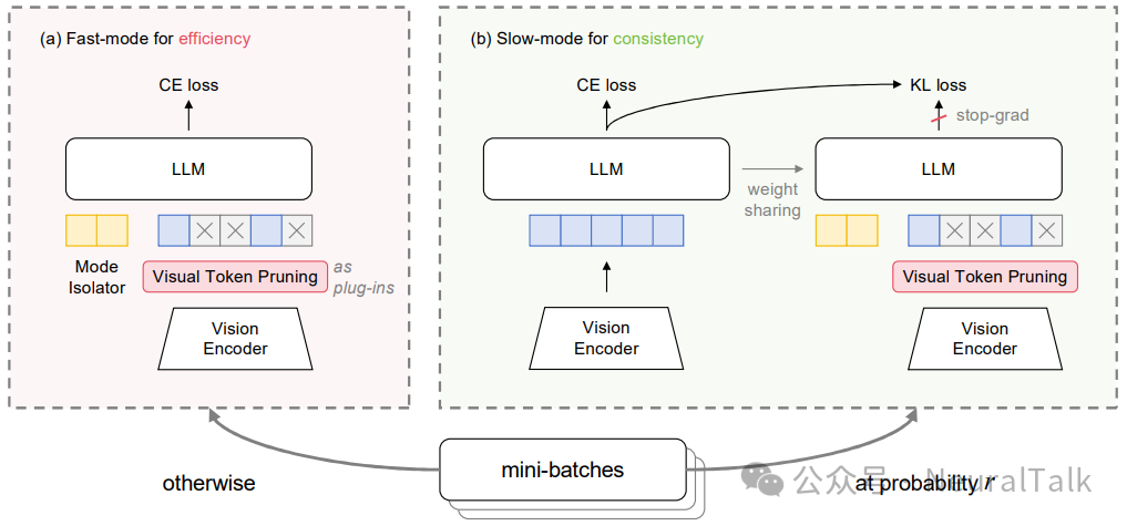 DualSpeed 框架总览