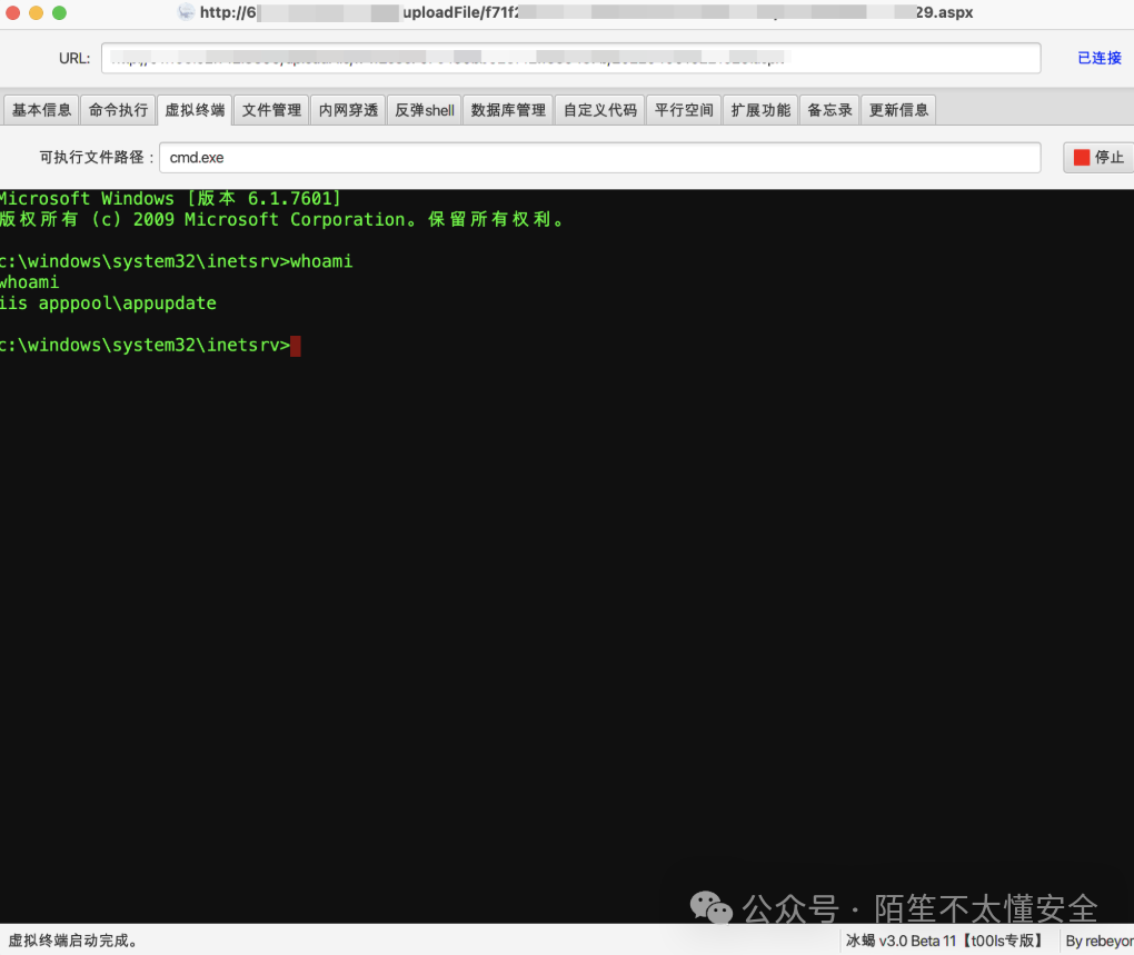 冰蝎 Webshell 管理界面截图,显示通过虚拟终端成功执行 whoami 命令,权限为 iis apppool