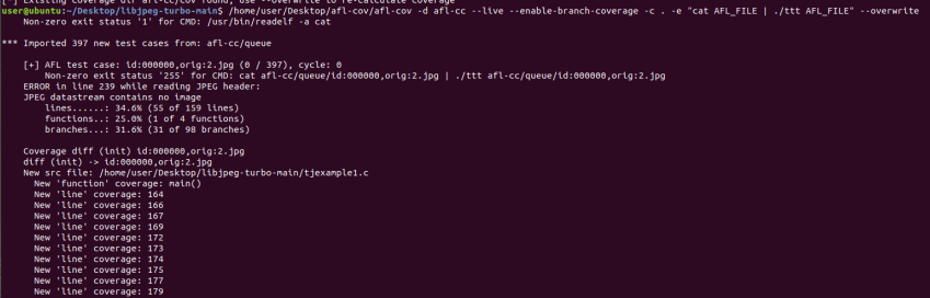 启动afl-cov实时监控