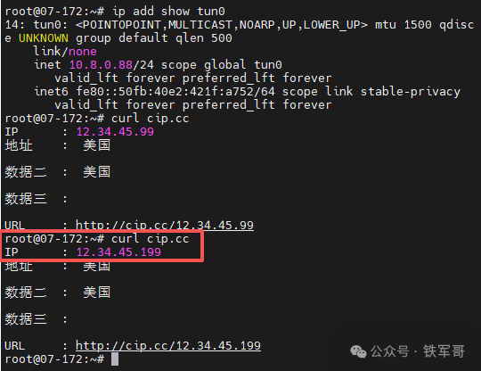 客户端查询IP地址,展示修改后立即生效