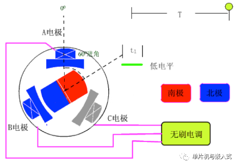 电极结构示意图