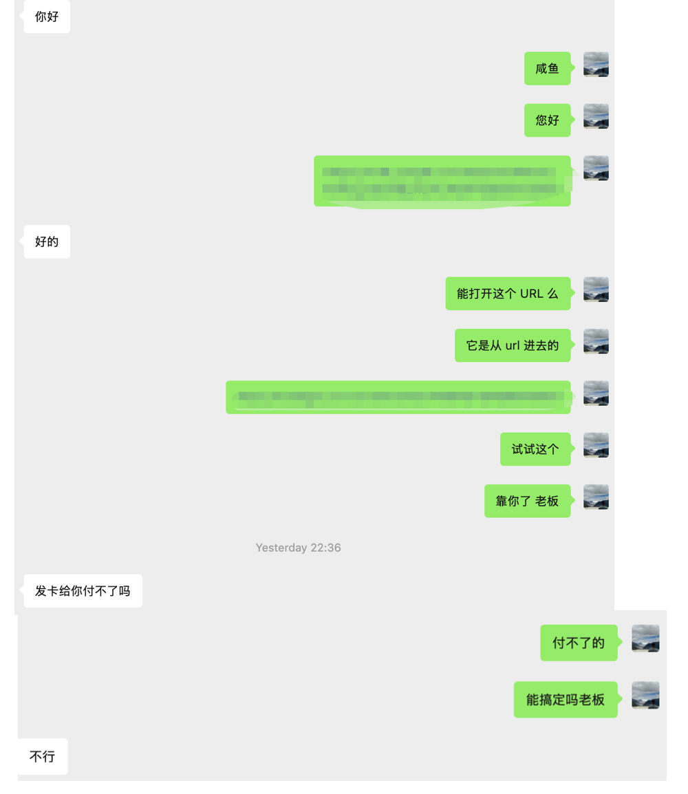 聊天记录截图，对话中涉及URL打开问题、支付失败等内容，并包含多张发送的缩略图