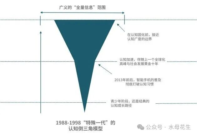 1988-1998“特殊一代”的认知倒三角模型示意图