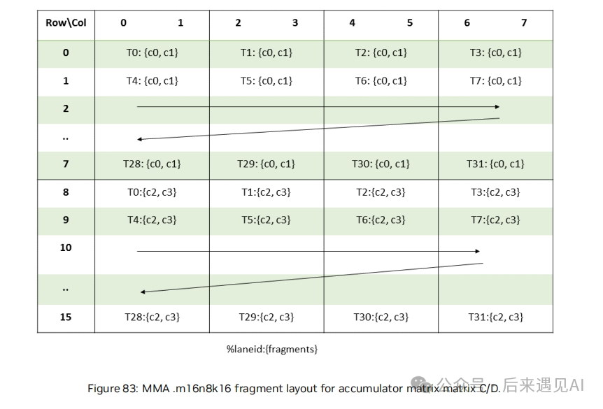 MMA m16n8k16 指令下累加器矩阵C/D的片段布局示意图