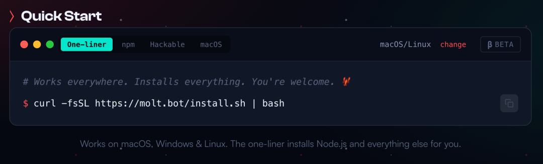 Clawdbot快速安装命令界面