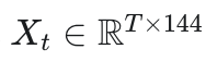 Xt ∈ ℝ^{T×144}