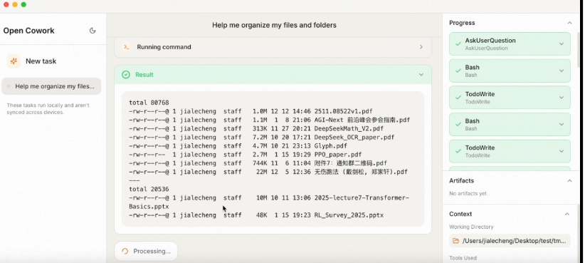 Open Cowork文件整理结果展示