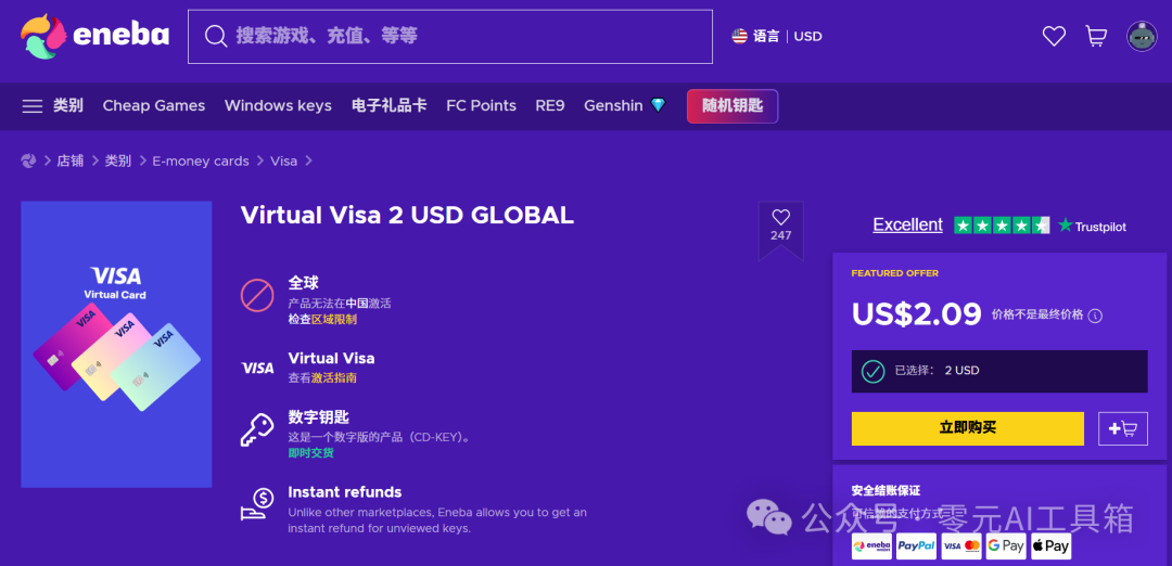 Virtual Visa 2 USD商品详情页