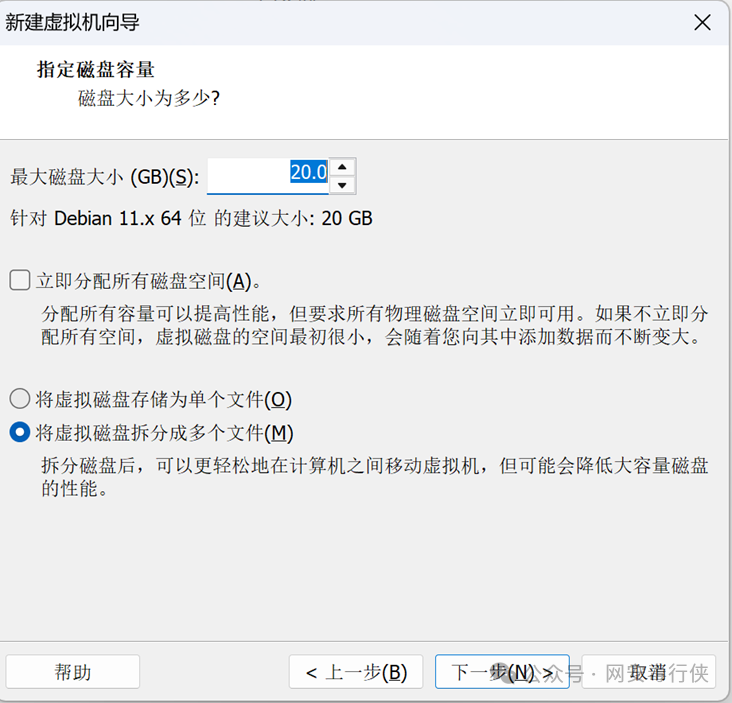 VMware 指定磁盘容量
