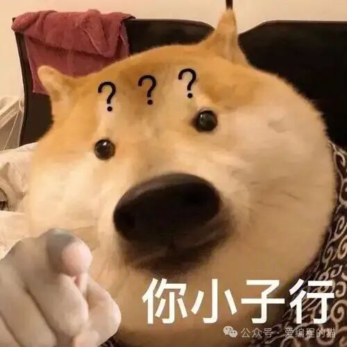一只困惑的柴犬，似乎在思考接单难题