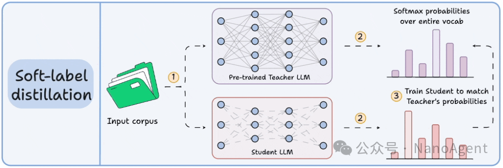 软标签蒸馏技术流程图