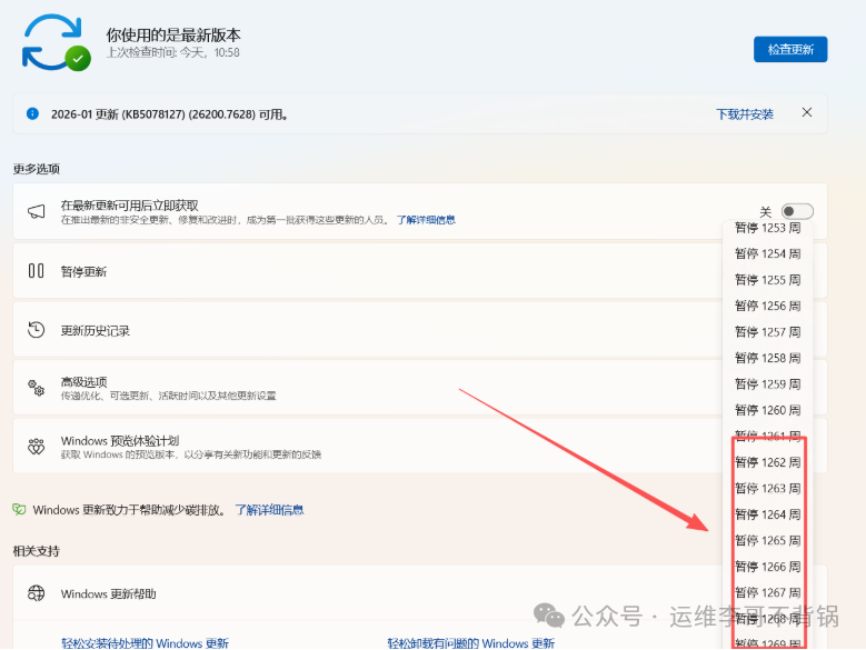 Windows更新设置中的暂停选项