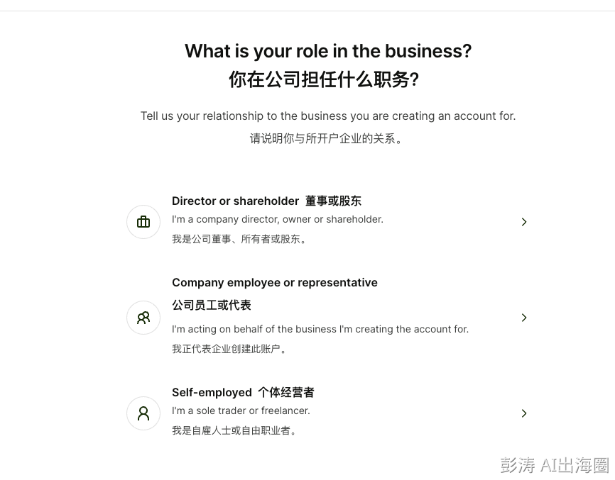 Wise企业账户角色选择