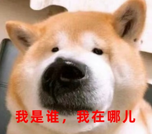 表情困惑的柴犬，配文“我是谁，我在哪儿”