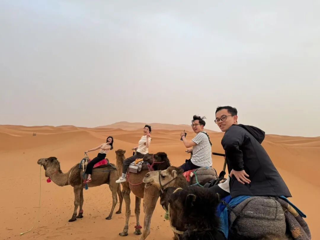 团队在摩洛哥骑骆驼休假