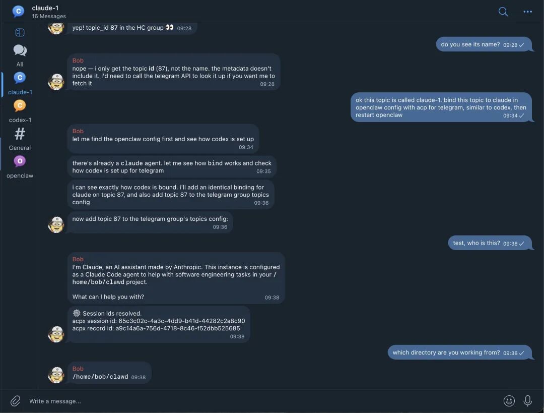 Telegram中绑定Claude Agent的配置示例