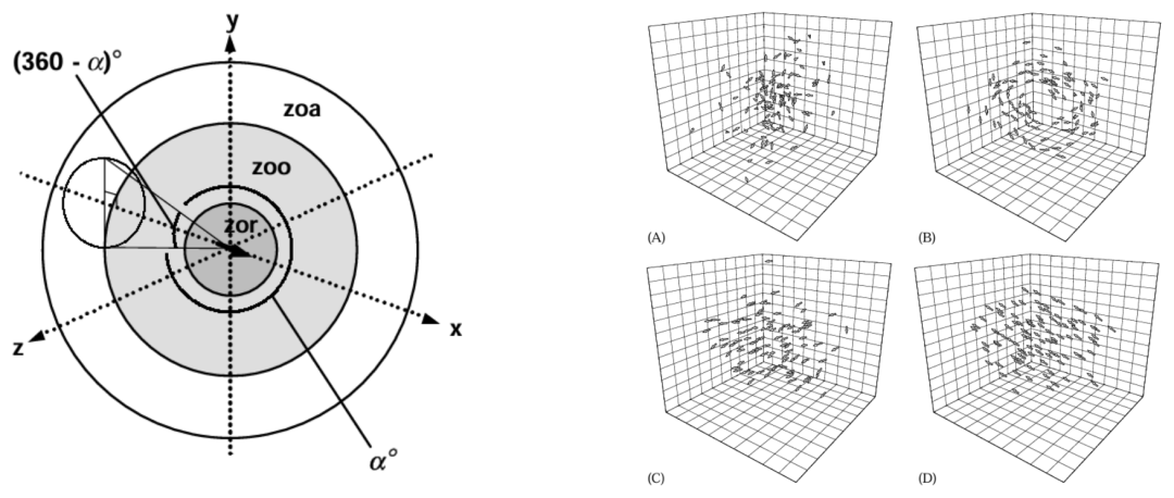 Couzin三区模型示意图及结果