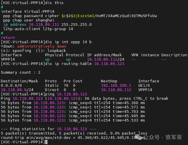 网络设备接口配置、路由表查看及Ping测试结果