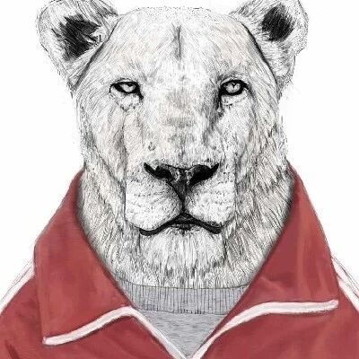 严肃的狮子身穿红色运动夹克插画