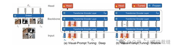 视觉提示微调(VPT)深度与浅层架构对比图