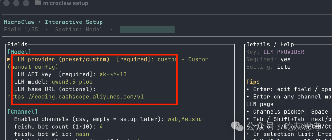 MicroClaw 交互式设置界面,显示LLM模型配置部分