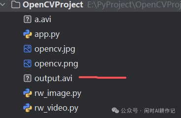 视频保存结果文件管理器截图