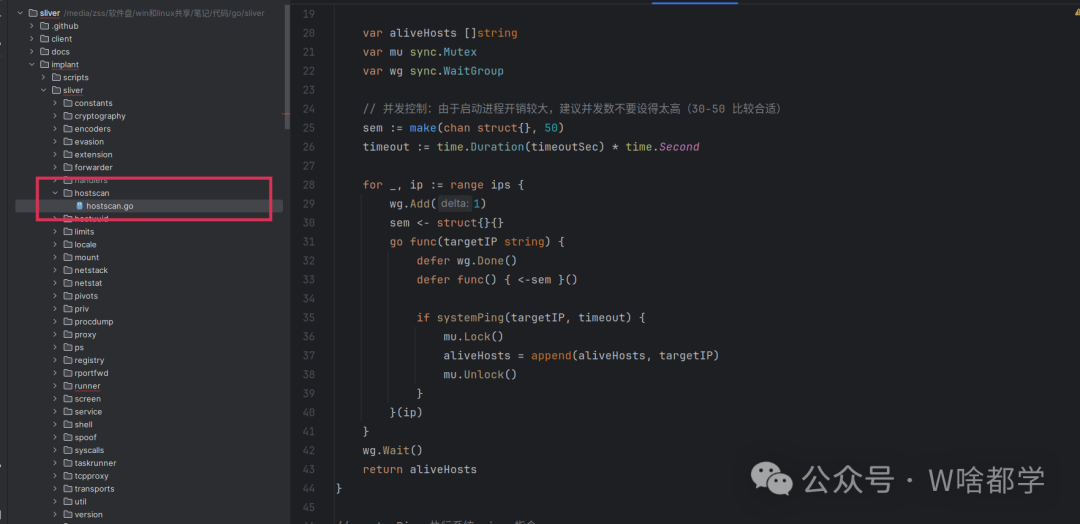 植入体端ICMP扫描功能实现代码