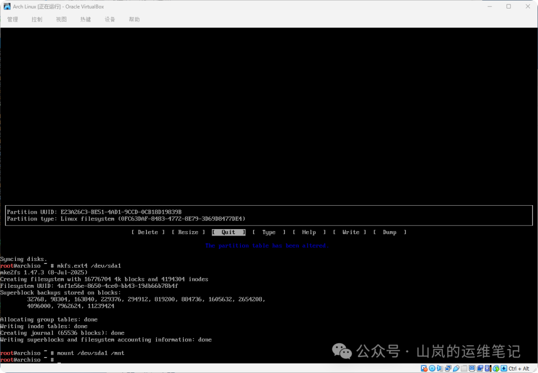 格式化分区并挂载