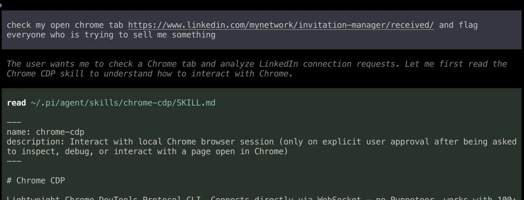 终端读取 Chrome CDP 技能文件界面
