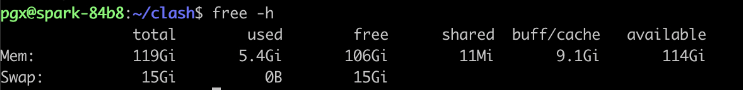 终端输出:`free -h`命令结果,Mem: 119Gi total, 5.4Gi used, 106Gi free, 9.1Gi buff/cache, 114Gi available