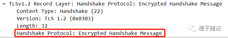 Encrypted Handshake Message报文抓包图