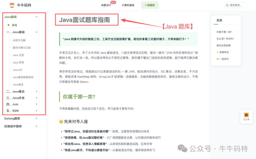 Java面试题库指南页面截图
