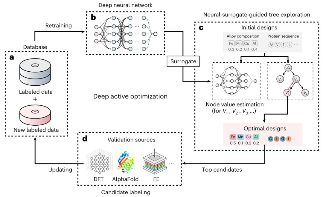 DANTE框架的闭环优化流程图